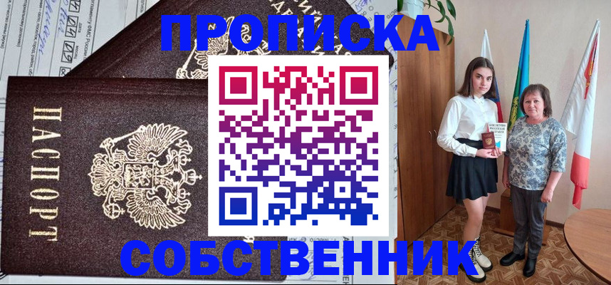 временная регистрация поиск в Щёлково