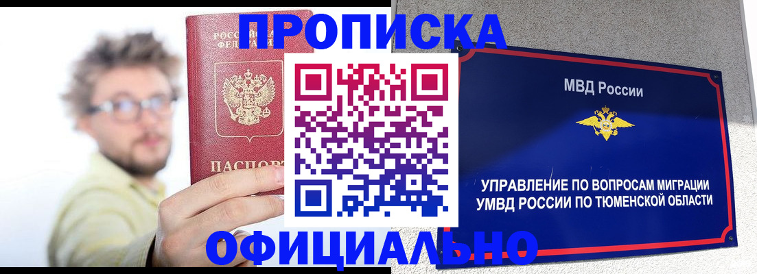 прописка поиск в Щёлково